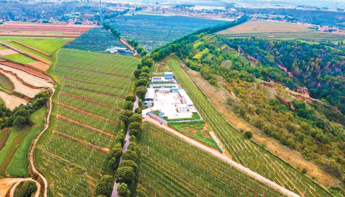 乘風破浪會有時 策馬揚鞭再奮蹄——甘肅建投生態公司拓市場..